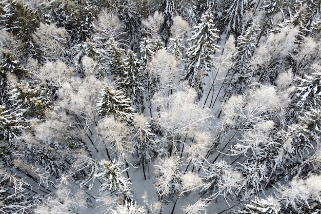 Vista aerea del paesaggio forestale invernale con alberi innevati coperti vista dall'alto di brina