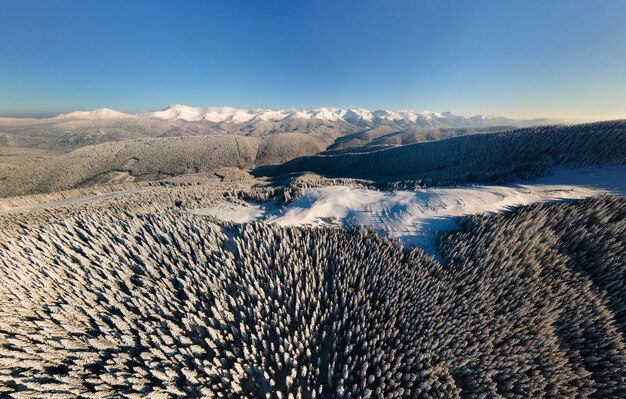Vista aerea del paesaggio invernale con colline di montagna ricoperte di abetaia sempreverde dopo abbondanti nevicate in una fredda giornata luminosa.