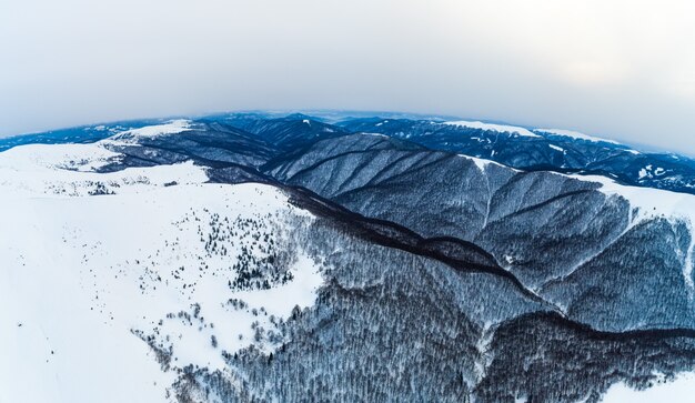 Vista aerea del paesaggio mistico di una foresta di montagna invernale in una giornata gelida e nuvolosa