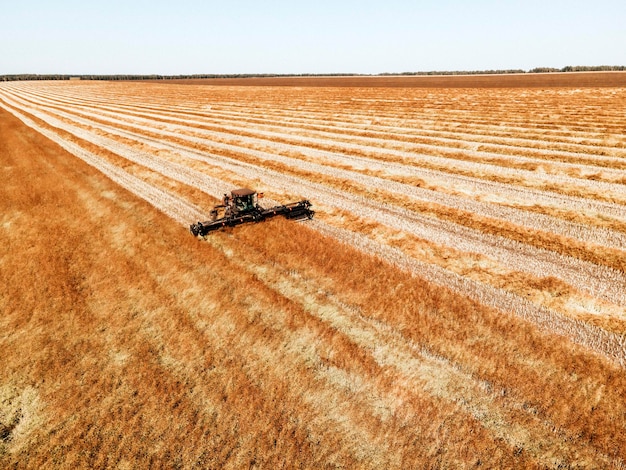 Vista aerea del paesaggio rurale Mietitrebbia che lavora nel campo raccoglie semi Raccolta di grano a fine estate Macchina agricola che raccoglie Golden Ripe Bird'seye Drone View