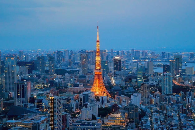 Vista aerea del paesaggio urbano illuminato di Tokyo