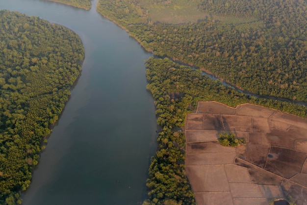 Vista aerea del paesaggio verde e del fiume