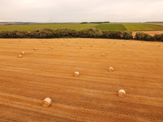 Vista aerea del raccolto di grano rotoli di paglia nel campo