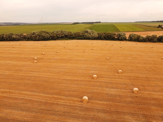 Vista aerea del raccolto di grano rotoli di paglia nel campo