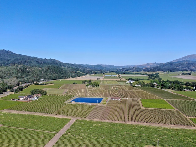 Vista aerea del vigneto di vino nella Napa Valley Napa County in California's Wine USA