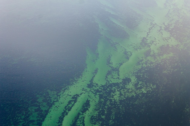 Vista aerea dell'acqua turchese nel mare