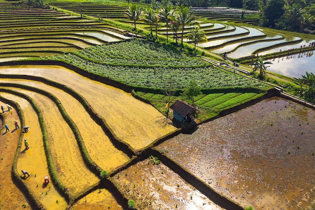 Vista aerea dell'Asia nella regione più popolare dell'Indonesia con belle curve