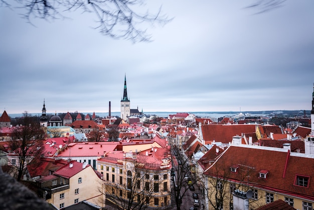 Vista aerea della città vecchia di Tallinn