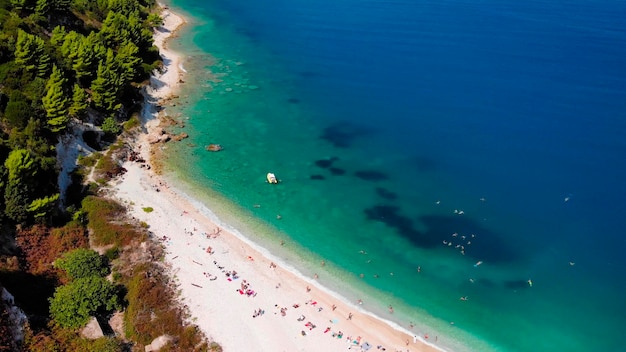 Vista aerea della costa del mare in un'isola tropicale.