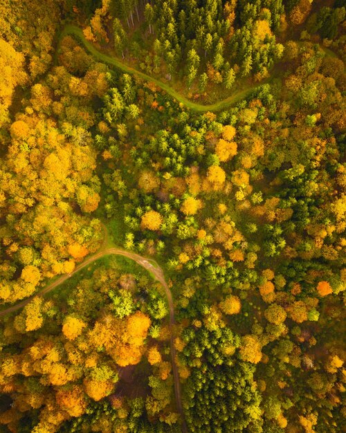 Vista aerea della foresta autunnale della Stiria meridionale Il cuore verde dell'Austria