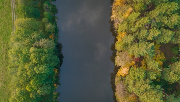 Vista aerea della foresta di autunno e del fiume