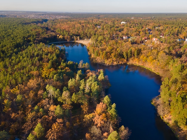 Vista aerea della foresta di autunno vicino al fiume nel pomeriggio