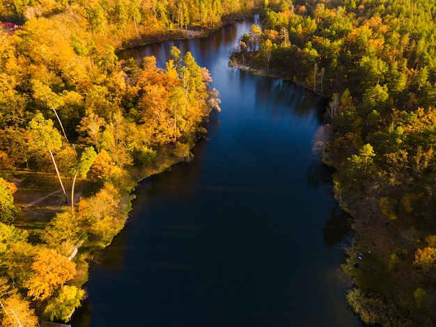 Vista aerea della foresta di autunno vicino al fiume nel pomeriggio