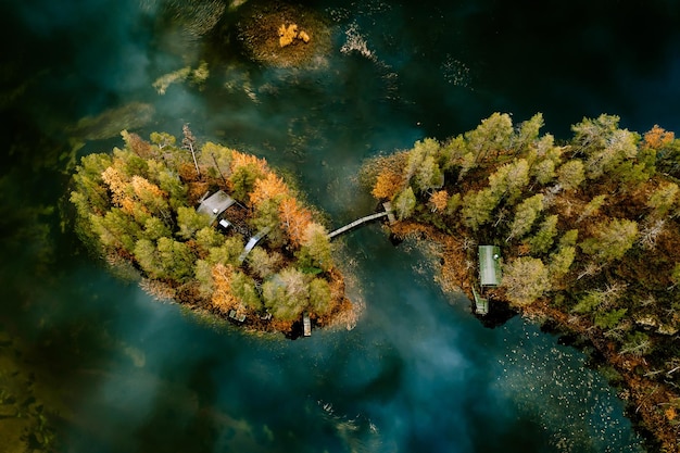 Vista aerea della foresta di colori autunnali e del lago blu con l'isola nella Finlandia rurale