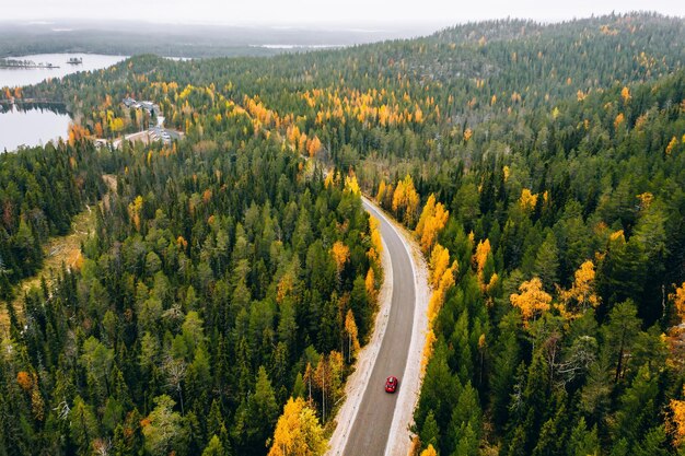 Vista aerea della foresta di colori autunnali in montagna e di una strada con auto rossa in Finlandia Lapponia
