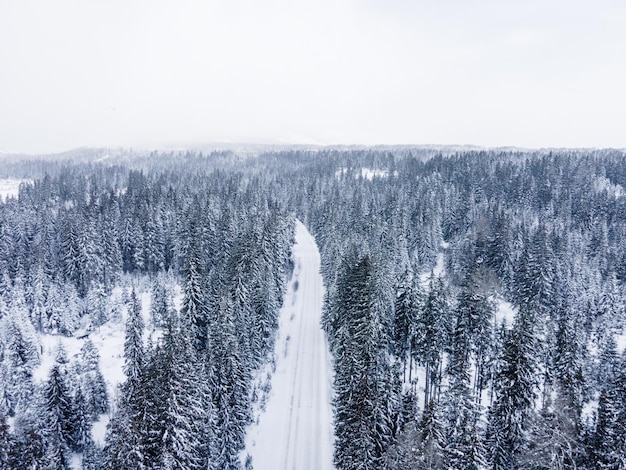 Vista aerea della foresta invernale ricoperta di neve drone fotografia Winter roadxDxA