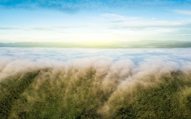 Vista aerea della foresta pluviale con nebbia e luce solare al mattino.