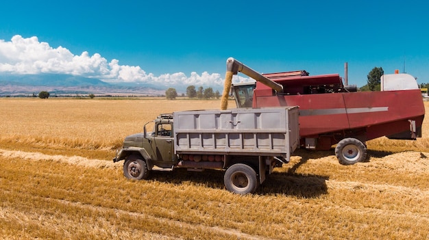 Vista aerea della mietitrebbia che scarica il grano nel camion