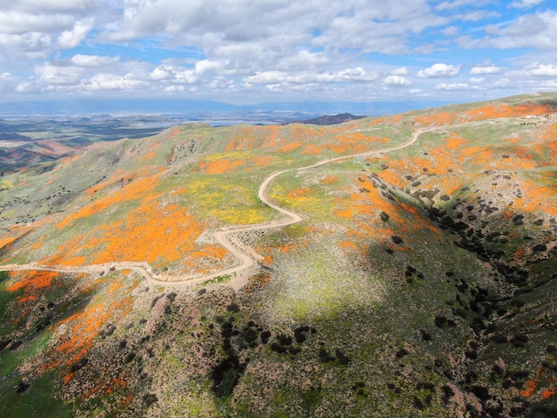 Vista aerea della montagna con California Golden Poppy e Goldfields in fiore nel Walker Canyon