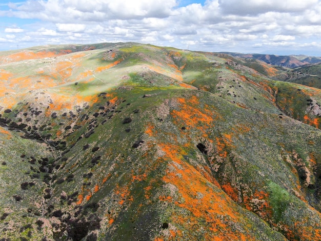 Vista aerea della montagna con California Golden Poppy e Goldfields in fiore nel Walker Canyon