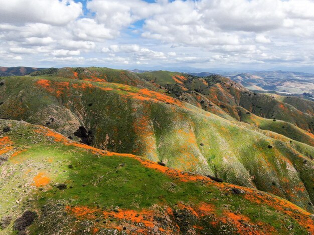 Vista aerea della montagna con California Golden Poppy e Goldfields in fiore nel Walker Canyon