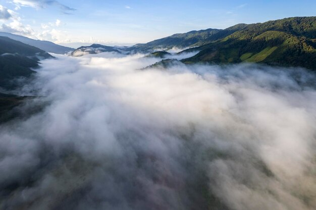 Vista aerea della nuvola di nebbia e della nebbia che incombe su una lussureggiante foresta pluviale tropicale dopo una tempesta