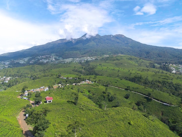 Vista aerea della piantagione di tè a Kemuning Indonesia con lo sfondo della montagna di Lawu