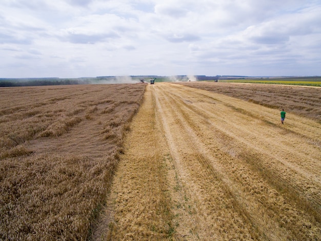 Vista aerea della raccolta nel campo di grano