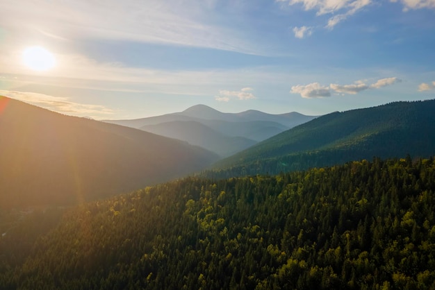 Vista aerea della serata nebbiosa su alte vette con alberi di foresta di pini scuri al tramonto luminoso Incredibile scenario di boschi di montagna selvaggia al tramonto