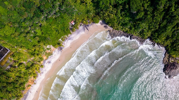 Vista aerea della spiaggia di Jerubucacu a Itacare Bahia Brasile Località turistica con mare e vegetazione