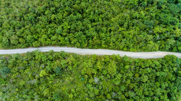 Vista aerea della strada attraverso la foresta.