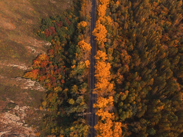 Vista aerea della strada nella bellissima foresta di autunno