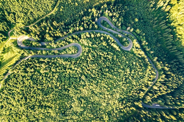 Vista aerea della strada tortuosa nel passo di alta montagna attraverso una fitta pineta verde.