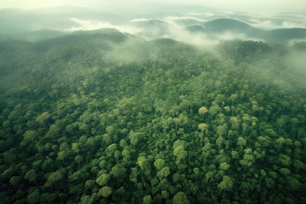 Vista aerea della vasta foresta verde Giornata della Terra IA generativa