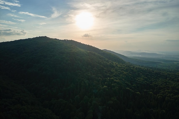 Vista aerea della verde pineta con abeti scuri che ricoprono le colline di montagna al tramonto Scenario boschivo settentrionale dall'alto