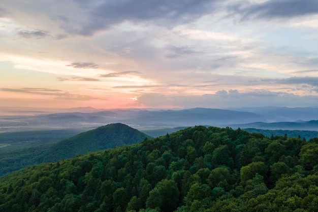 Vista aerea della verde pineta con abeti scuri che ricoprono le colline di montagna al tramonto Scenario boschivo settentrionale dall'alto