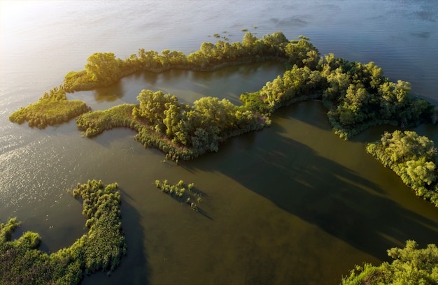 Vista aerea della zona del lago con vegetazione