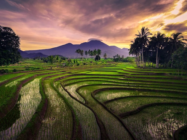 Vista aerea della zona rurale indonesiana con montagne e campi di riso al mattino