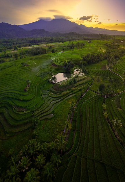 Vista aerea della zona rurale indonesiana con montagne e campi di riso al mattino