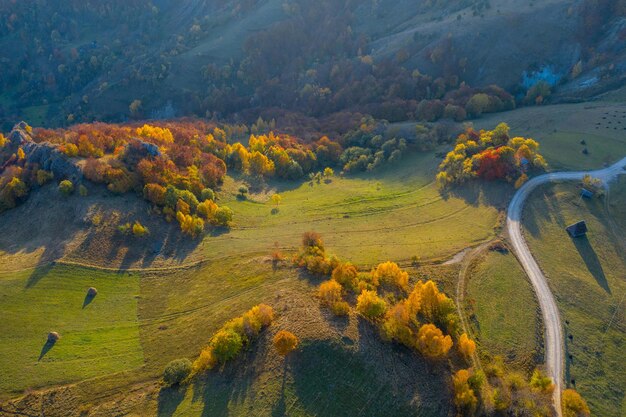 Vista aerea delle colline e della foresta in autunno