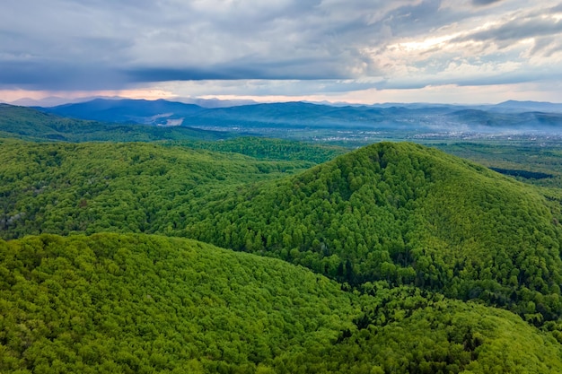 Vista aerea delle colline scure della montagna ricoperte di pino misto verde e foresta lussureggiante in serata.