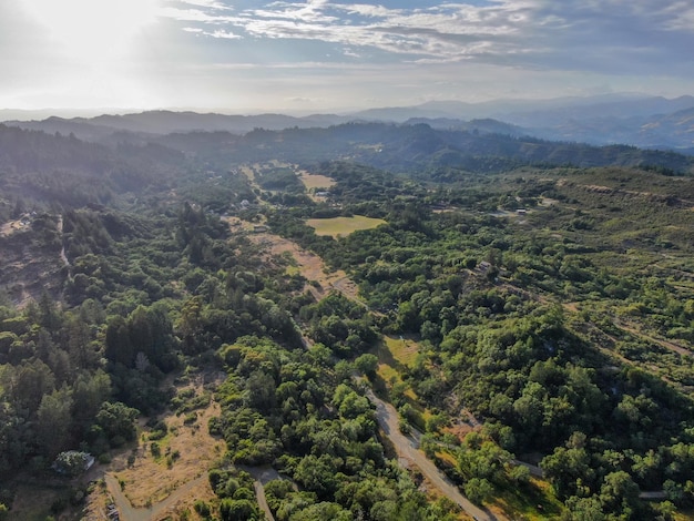 Vista aerea delle colline verdeggianti con alberi in Napa Valley California USA