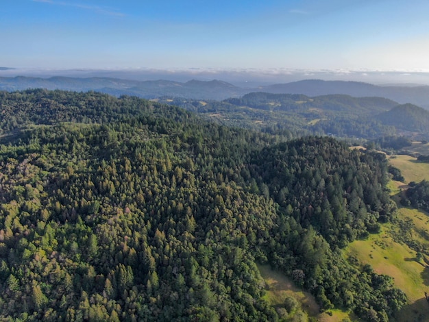 Vista aerea delle colline verdeggianti con alberi in Napa Valley California USA