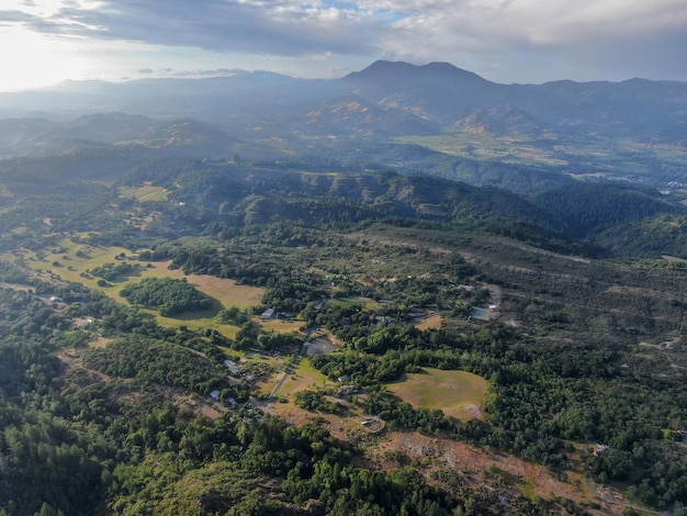 Vista aerea delle colline verdeggianti con alberi in Napa Valley California USA