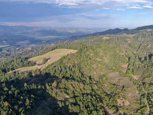 Vista aerea delle colline verdeggianti con alberi in Napa Valley California USA