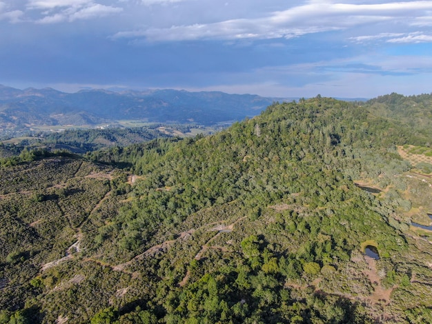 Vista aerea delle colline verdeggianti con alberi in Napa Valley California USA