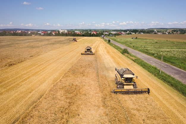 Vista aerea delle mietitrebbiatrici che raccolgono il grande campo di grano maturo giallo.