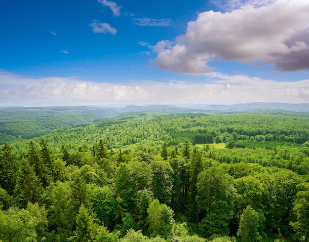 Vista aerea delle montagne di Harz Germania