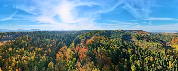 Vista aerea delle montagne ricoperte di foresta autunnale