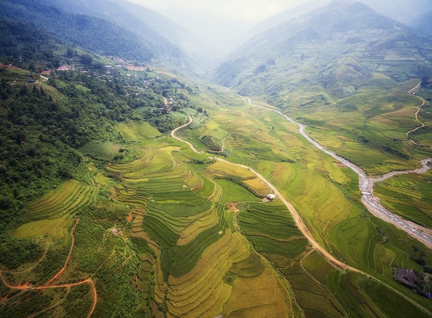 Vista aerea delle risaie su terrazzato di Mu Cang Chai, YenBai, Vietnam.